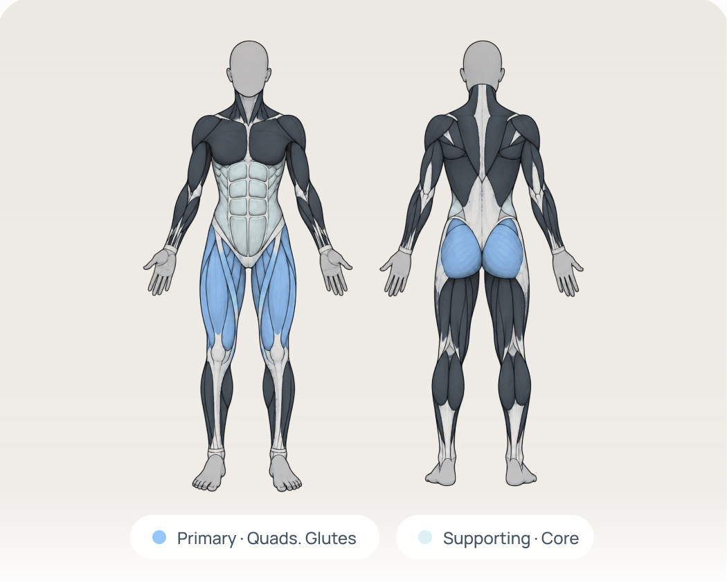 Front and back muscle training map